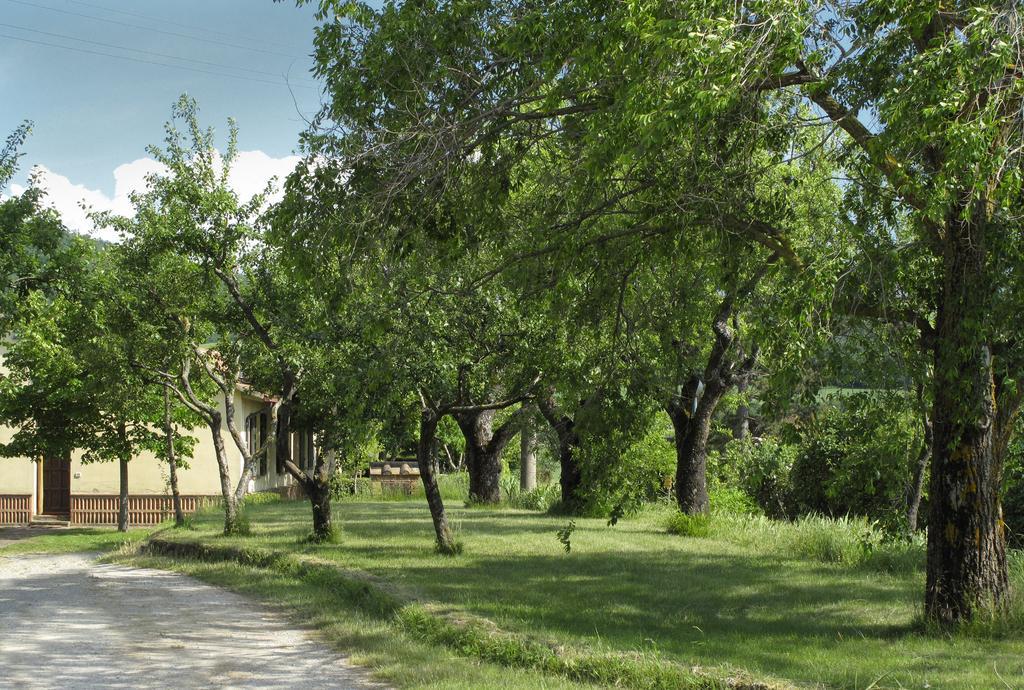 Agriturismo Il Casalone มอนติปุลเชียโน ภายนอก รูปภาพ